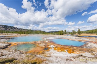 Black Opal Pool