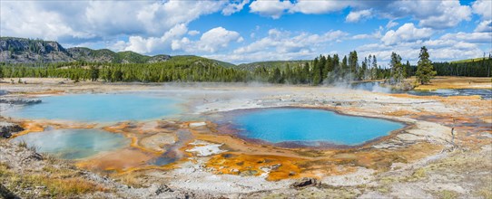 Black Opal Pool