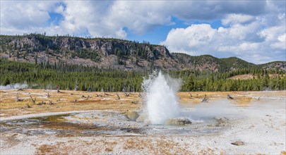 Outbreak of Jewel Geyser