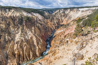 Yellowstone River flows through Gorge