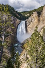 Lower Falls