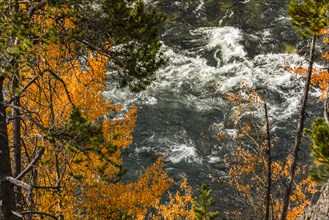 Yellowstone River