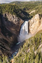 Lower Falls