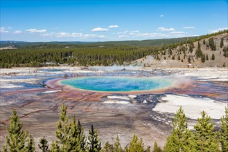 Visitors on footbridge over steaming hot spring with coloured mineral deposits