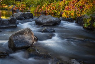 Autumn vegetation on the McCloud River