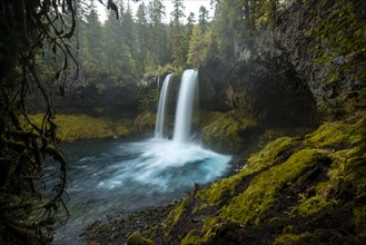 Waterfall in dense vegetation