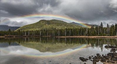 Rainbow in dark clouds over a forest