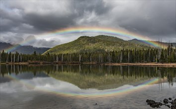 Rainbow in dark clouds over a forest