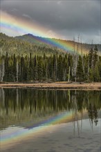 Rainbow in dark clouds over a forest