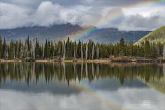 Rainbow in clouds over a forest