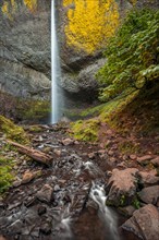 Man at waterfall in front of basalt rock