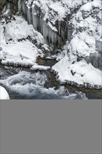 Wild river Partnach in the Partnachklamm with long icicles and snow in winter