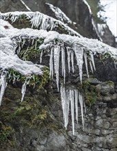 Icicle on a rock face