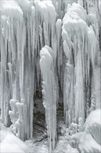 Long icicles on a rock face
