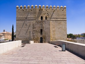 Fortress Torre de la Calahorra at the Roman bridge