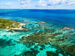 Coral reef off Great Bird Island