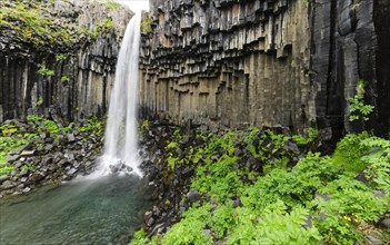 waterfall Svartifoss with basalt columns