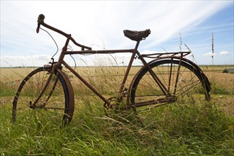 Rusted bicycle in grass by roadside
