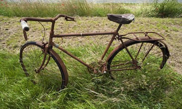 Rusted bicycle in grass by roadside