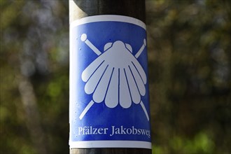 Waymarking Palatinate Jakobsweg