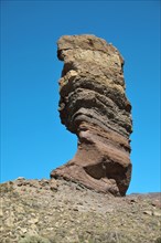 Roque Cinchado