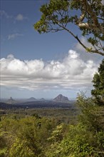 Landscape in Glass House Mountains National Park