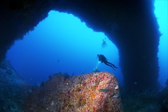 Diver looks at reef formation known as sarcophagus in archway from south plateau of Elphinstone Reef