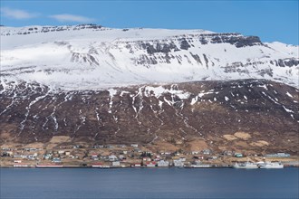 Reyoarfjorour or Reydarfjordur