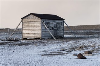 Wooden house