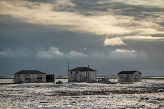 Wooden houses