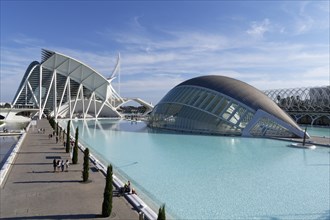 Fountain Fuente de San Luis with Science Museum Museu de les Ciencies Principe Felipe and L'Hemisferic 3D cinema