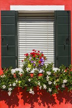 Window decorated with colourful flowers