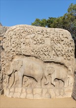 Close-up of elephants at Arjuna's Penance