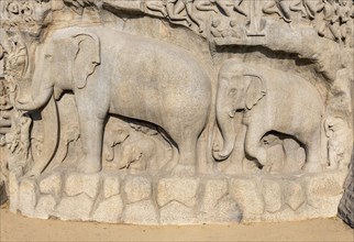 Detail of elephants at Arjuna's Penance