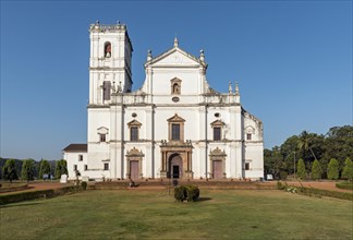 Se Cathedral