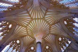Interior vaulted roof of the Chapter House