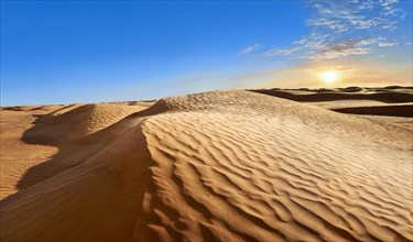Sand dunes of Grand Erg Oriental near the oasis of Ksar Ghilane