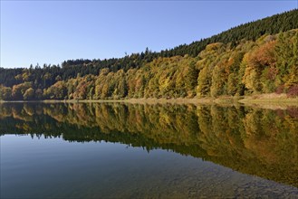 Autumn forest reflected in Hennesee