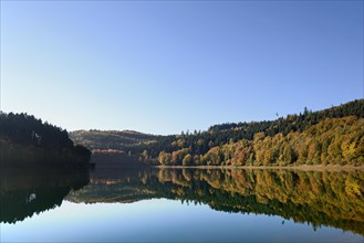 Autumn forest reflected in Hennesee