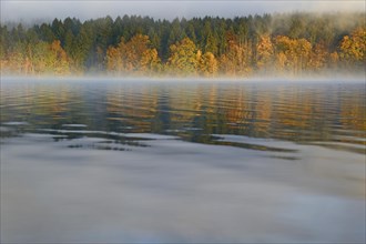 Autumn forest reflected in Lake Mohnesee