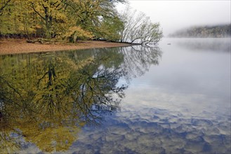 Autumn atmosphere with early fog at Lake Mohnesee