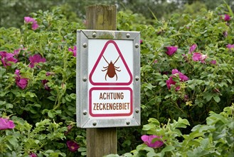 Warning sign Ticks area