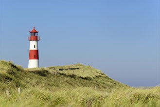 Lighthouse List-Ost in the dunes