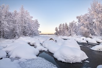 Snow-covered trees on a river