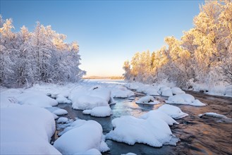 Snow-covered trees on a river