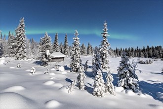 Northern Lights (Aurora Borealis) with starry sky over snow-covered hut in winter landscape