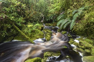 Watercourse of a brook