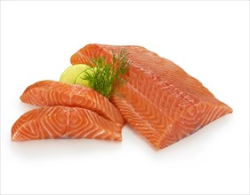 Fillet of Atlantic salmon (Salmo salar)