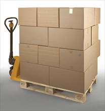 Euro pallet with cartons stands on pallet truck