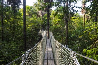 Hanging bridge in the Zoo of Cayenne